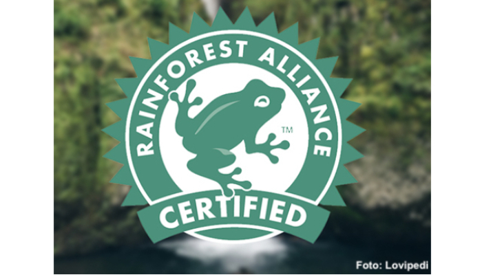 Rainforest Alliance so žabkou v logu je financovaná najmä z poplatkov od obchodníkov. Bill Gates ju neriadi